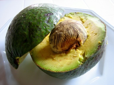 avocado_via_morguefiledotcom